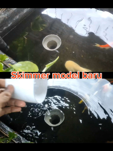 Skimer Putar Kolam Ikan Penghisap Kotoran Atas 3 dim