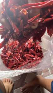 CABE MERAH KERING RAWIT TEJA/KERING SUPER IMPORT NON TANGKAI UNTUK ANEKA SAMBAL BOCI SEBLAK BAKSO