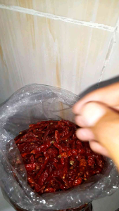 cabe merah besar kering