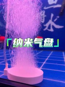 Semi Circle Nano Air Bubble Stone Oxygen Ball Aquarium Fish Tank Air Pump