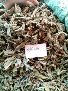 1kg Nghể Răm Khô Dư.ợc Li.ệu Quý - Đi.ều Tr.ị Sá.n C.hó