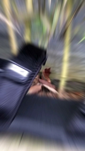 Sandal nam Vento hàng chính hãng thương hiệu Vento. Mã NV5616 hàng VNXK size 38-43. Hàng SX theo công nghệ Nhật Bản