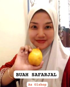 BUAH SAFARJAL ASLI MADINAH ( 1 Biji)