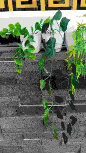 Dolar Juntai + Pot Permata Daun Artificial Daun Dekorasi