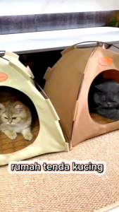 Tenda Kucing Motif Ukuran Jumbo FULLSET Alas Bantal Kasur Tenda Kucing Kelinci DLL
