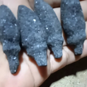 set 4 biji kembang kantil meteor seribu bintang