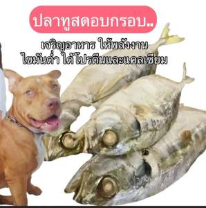 ปลาทูสดอบกรอบ3-5ตัว ต่อห่อปลาทูหมาแมวอบกรอบ ขนมหมาแมวพร้อมส่งปลาทูสดอบกรอบ** 3-5ตัวต่อห่อ 50กรัม