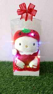 ตุ๊กตาคิตตี้(งานแฮนด์เมค)บรรจุในกล่องใสสวยงามพร้อมไฟ