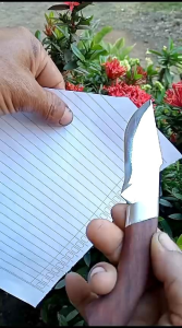 Pisau Dapur Praktis: Akcesoris & Pisau Mini