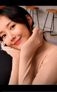 RM womens turtle neck long sleeve knitted blouse#3335