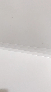 Kalung Motif Angsa Titanium: Kalung Anti Karat & Tidak Bikin Alergi