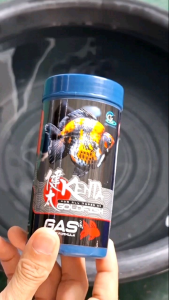 อาหารปลาทอง ลดปัญหาปลาท้องอืด ปลาหงายท้อง เคนตะสูตรขับลม