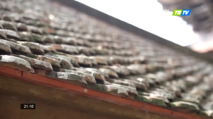 Hương Bài loại hộp 50 nén