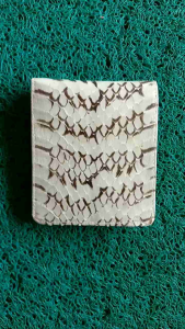 Dompet pria kulit ular cobra warna putih natural Dompet lipat tiga dompet stnk