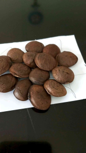 Promo Ramadhan Bibit Benih Kacang Bintang Sacha Inchi 200 Biji