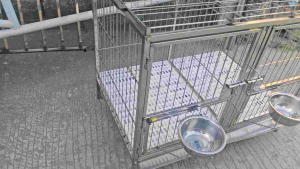 pure stainless 304 dog cage 2×3×2.5 2doors with rotating window and stainless pooptray