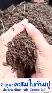 ดินพร้อมปลูกส่งด่วนทั่วไทย
