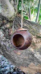 TỔ CHIM SÓC THÚ CƯNG BẰNG GÁO DỪA MÀI BÓNG