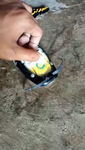 Mainan Anak Anak Lele Tarik Bisa jalan sendiri