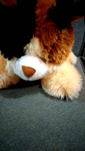 Boneka Kucing Belang Angora Persia & Mainan Karakter Binatang Edukasi