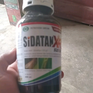 SIDATAN XR 525 SL / 400 ml (insektisida)