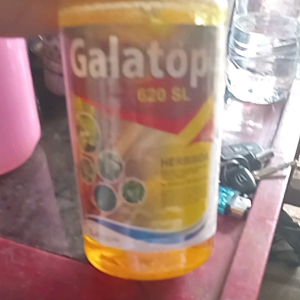 GALATOP 620 SL (HERBISIDA SISTEMIK). bonus Ally 10 gram