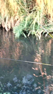 JAGRAK TEGAK STAINLIS NYOBOK MULTIFUNGSI