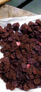 Rengginang Ketan Asli: Snack Sehat & Nikmat
