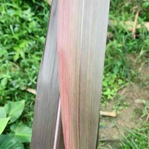 Daun tebu hitam tebu ireng khusus daun 100 gram-az