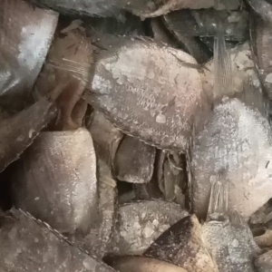 SUPER MURAH Ikan Asin Tamakang/ Biawan COD Bayar Di Tempat