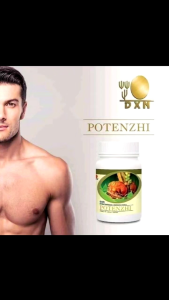 DXN Potenzhi 30 capsules x 370mg 100% natural herbs for Men