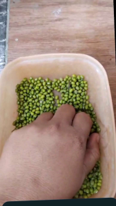 Kacang Hijau 1 kg: Langsung dari Petani & Berkualitas Super