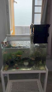 คอนโดจิ๋ว เครื่องกรองน้ำใส สำหรับตู้ปลา