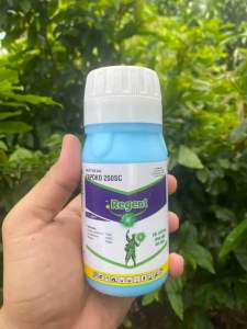 REGENT 250ML phòng trừ côn trùng hiệu quả