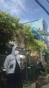 Giường palet gỗ thông Mỹ (làm từ ván mới nhập khẩu)