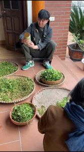 [Nguyên Chất 100%] Bột cần tây sấy lạnh bột tía tô bột rau má bột diếp cá nguyên chất hủ 500g. Giúp đẹp dáng đẹp da ngừa mụn thâm nám thải độc ngừa lão hoá da thanh lọc cơ thể.