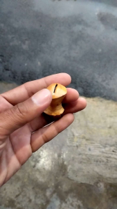 sawangan sulingan kayu besar untuk burung dar merpati sempritan burung