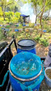 Madu Murni Nektar Bunga Rambutan GRAD A Super Kemasan Botol 1KG