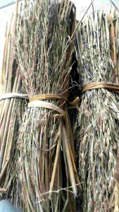 sapu jerami merang padi ketan hitam per ikat