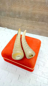 Once sedotan tanduk kerbau bule motif ulir spesial A42