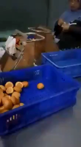 Sealer Antigagal Goodseal 30Cm