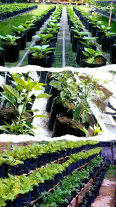 Polybag plastik ukuran 35x35 isi 30Lembar