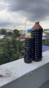 กากน้ำตาลแท้ 100% 0.7 กิโล 2 กิโล โมลาส จุลินทรีย์ EM จุลินทรีย์สังเคราะห์แสง ปุ๋ย ปุ๋ยหมัก ออแกนิค พืช ต้นไม้