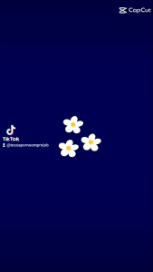 Bumei รองเท้าแตะ ยี่ห้อ BUMEI บูมิ รุ่น M004 ขนาด 39-44