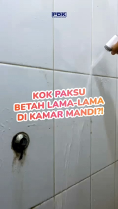 LS || Point Tex 600ml Pembersih keramik lantai WC dan Kamar Mandi || Pembasmi Noda Kerak Membandel || Pembersih Toilet