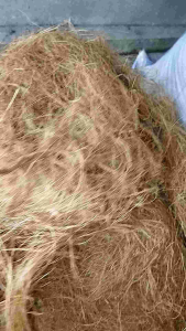 TERLARIS COCO FIBER ATAU SRABUT KELAPA MEMILIKI BEBERAPA BANYAK MANFAATNYA