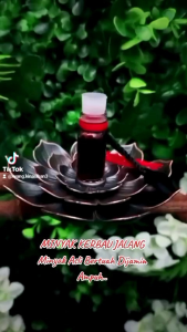 PARFUM PRIA WANITA SPESIAL MINYAK ISTIMEWA UKURAN 3ML