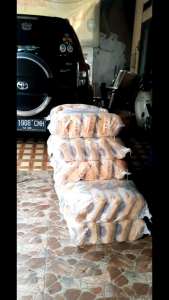 Beras Ayana Gold 5kg X 4 pcs Original Total 20kg