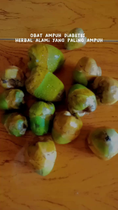 tembuluk buruluk/bluluk/kelapa muda kecil isi 10pcs