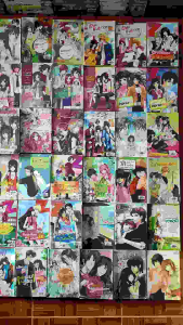 นิยาย z-Girl มือสองตราด